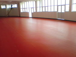 石家莊、唐山、秦皇島、邯鄲、邢臺PVC塑膠地板供應 專業運動場地解決方案